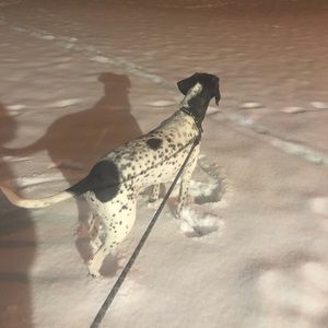 Meet your Posher, Nichole